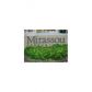 6175 NW 186th St # 109, Hialeah, FL 33015 ID:14744691