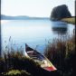 103 Hawks Trail, Waleska, GA 30183 ID:14656251