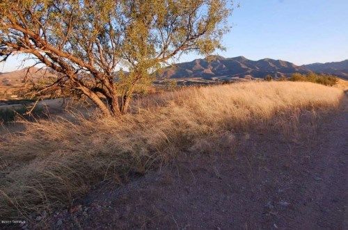 4E Temporal Canyon Road, Patagonia, AZ 85624