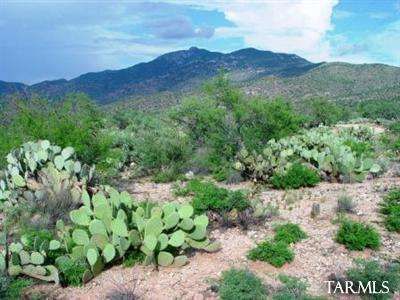 0 E Mountain Canyon Road #TBD, Vail, AZ 85641