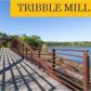 1133 Deadwood Trail, Loganville, GA 30052 ID:14865650