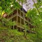 214 Down Under Road, Blue Ridge, GA 30513 ID:14799999