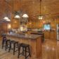 214 Down Under Road, Blue Ridge, GA 30513 ID:14800007