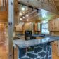438 Palmetto Drive, Ellijay, GA 30540 ID:14434556