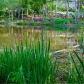 3589 Lake End Drive, Loganville, GA 30052 ID:13967769