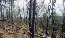 0 Leiderman Rd Trenton, GA 30752