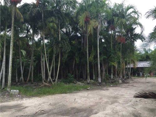 19850 SW 392nd St, Homestead, FL 33034