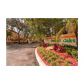 3342 Water Oak Drive # 1602, Hollywood, FL 33021 ID:14804173