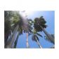 1821 Jefferson Ave # 205, Miami Beach, FL 33139 ID:14735106