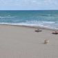 1501 S Ocean Dr # 403, Hollywood, FL 33019 ID:14469547