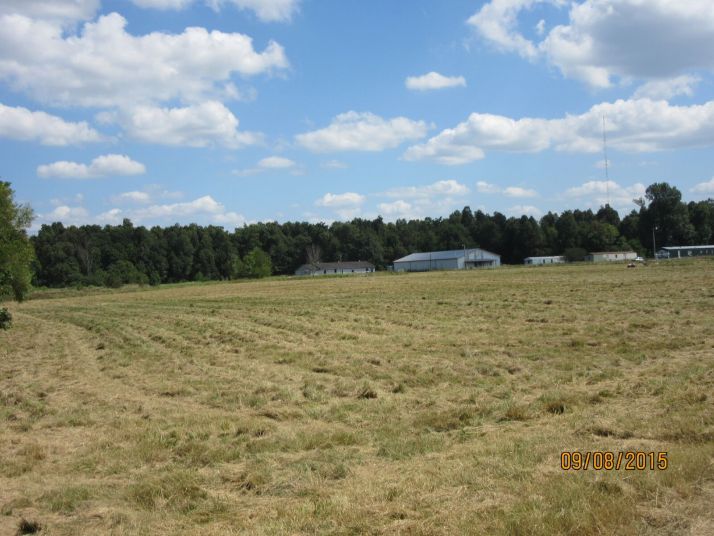 11 hidden acres, METROPOLIS ILL, IL 62960