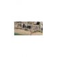 133 N Pompano Beach Blvd # 310, Pompano Beach, FL 33062 ID:14579492