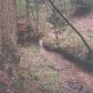 196 Cross Creek Trail, Jasper, GA 30143 ID:14869765
