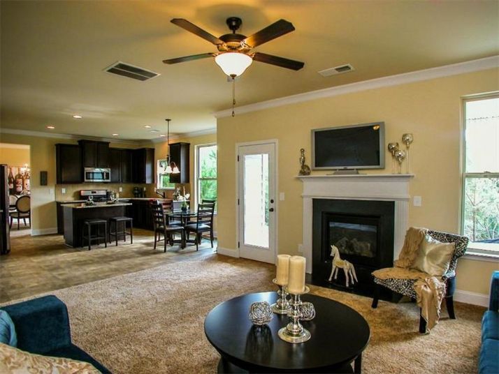 4079 Elm Trace Drive, Loganville, GA 30052