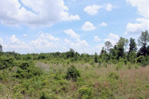 *9234 SE River, Lee, FL 32059