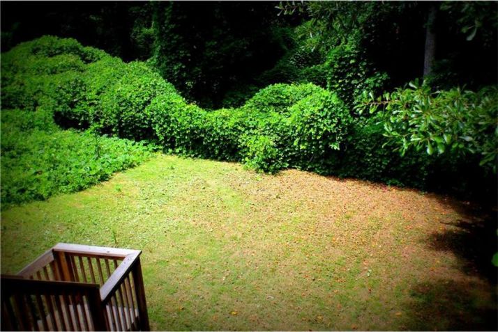 56 Brookside Court, Villa Rica, GA 30180