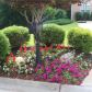 53 Venture Court, Braselton, GA 30517 ID:14410977