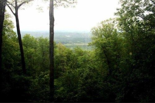 1751 Ridgeview Drive, Jasper, GA 30143