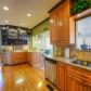 203 Springshade Court, Canton, GA 30114 ID:13754358