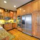 203 Springshade Court, Canton, GA 30114 ID:13754361