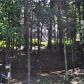 1035 Timber Lake Trail, Cumming, GA 30041 ID:14800214