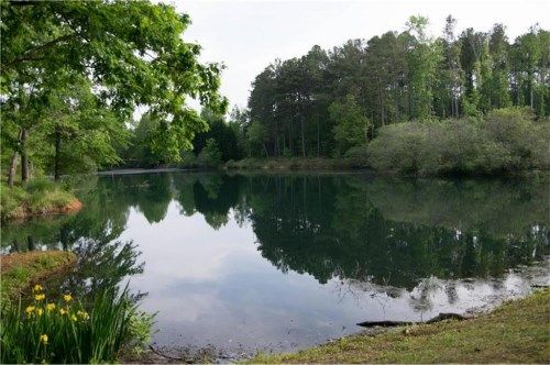 6274 Cheatham Lake Drive Nw, Acworth, GA 30101