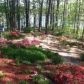 213 Pine Crest Drive, Cumming, GA 30040 ID:13937209