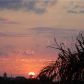 3140 S Ocean Dr # 1112, Hallandale, FL 33009 ID:14520942