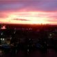 1500 S Ocean Dr # 11E, Hollywood, FL 33019 ID:13855764