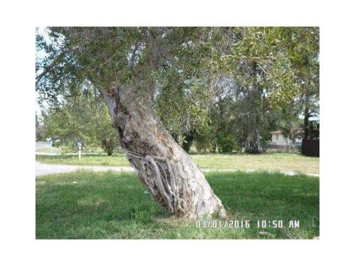 785 SW 7th Ave, Hallandale, FL 33009