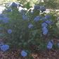 274 Rock House Road Se, Lawrenceville, GA 30045 ID:14520304