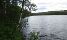 Lot 10 N Mountain Pass Circle Big Lake, AK 99652