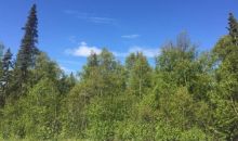L32 B1 Southpark Bluff Drive Anchorage, AK 99516