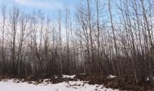 TR3 Park Drive Chugiak, AK 99567