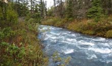 L6 B2 River Circle Eagle River, AK 99577