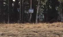 8181 S Knik- Goose Bay Road Big Lake, AK 99652