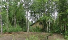 580 W Ponderosa Loop Wasilla, AK 99654