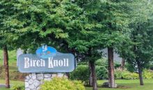 11753 Birch Knoll Loop Anchorage, AK 99515