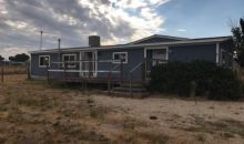 438 Tiffany Drive Spring Creek, NV 89815