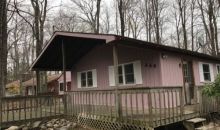 248 Greenbriar Cir Tobyhanna, PA 18466