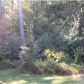 3901 Greystone Ct W, Stone Mountain, GA 30083 ID:14956555