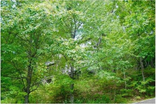 1171 Deer Run Ridge, Jasper, GA 30143
