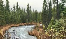 L5 B4 Southfork Eagle River, AK 99577