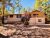 1021 White Tail Dr Show Low, AZ 85901