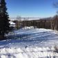 16000 Elizabeth Street, Anchorage, AK 99516 ID:14949778