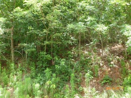 LOT 32B MOUNTAIN HARBOUR, Hayesville, NC 28904