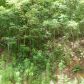 LOT 32B MOUNTAIN HARBOUR, Hayesville, NC 28904 ID:14917441