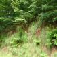 LOT 32B MOUNTAIN HARBOUR, Hayesville, NC 28904 ID:14917442