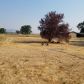 308 W Gregory Road, Central Point, OR 97502 ID:14967898