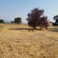 308 W Gregory Road, Central Point, OR 97502 ID:14912769